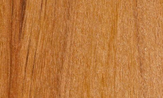 "L'aménagement Extérieur Éco-responsable dans la Marne : Le Louro Gamela par Woodpecker"